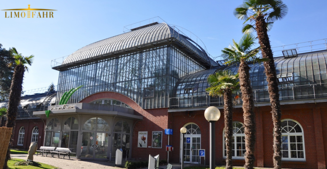 How to get from Frankfurt Airport to The Palm Garden?