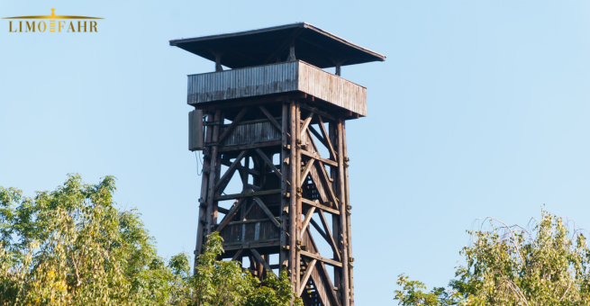 How to Get from Frankfurt Airport to The Goethe Tower?