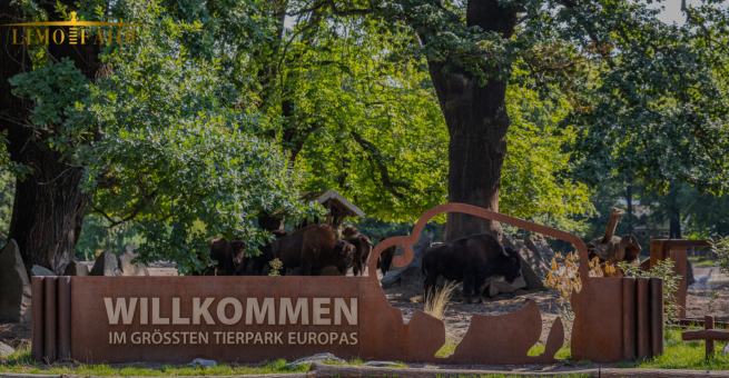 How to Get from Berlin Airport to Tierpark Berlin?
