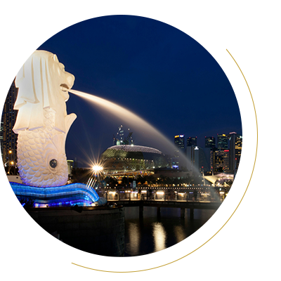 Professional Singapore Airport Transfer