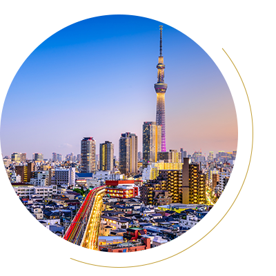 Private Airport Chauffeur Japan